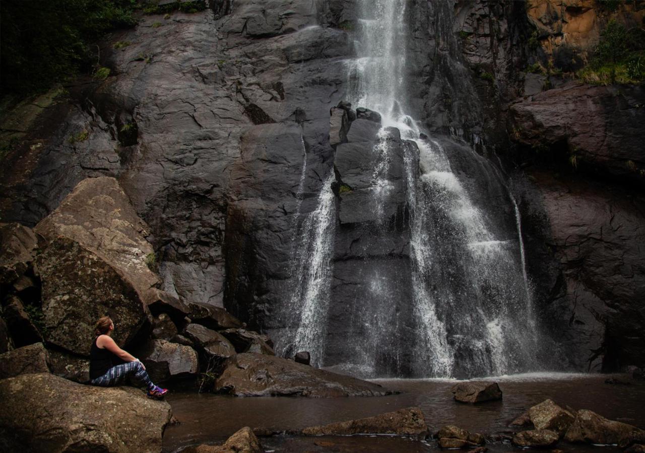 Away With The Fairies Nature Lodge And Backpackers Hogsback Dış mekan fotoğraf