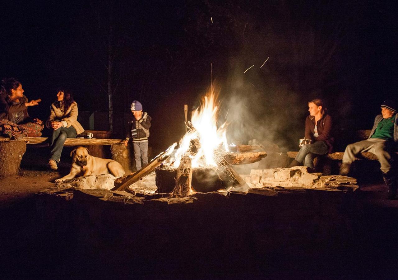 Away With The Fairies Nature Lodge And Backpackers Hogsback Dış mekan fotoğraf