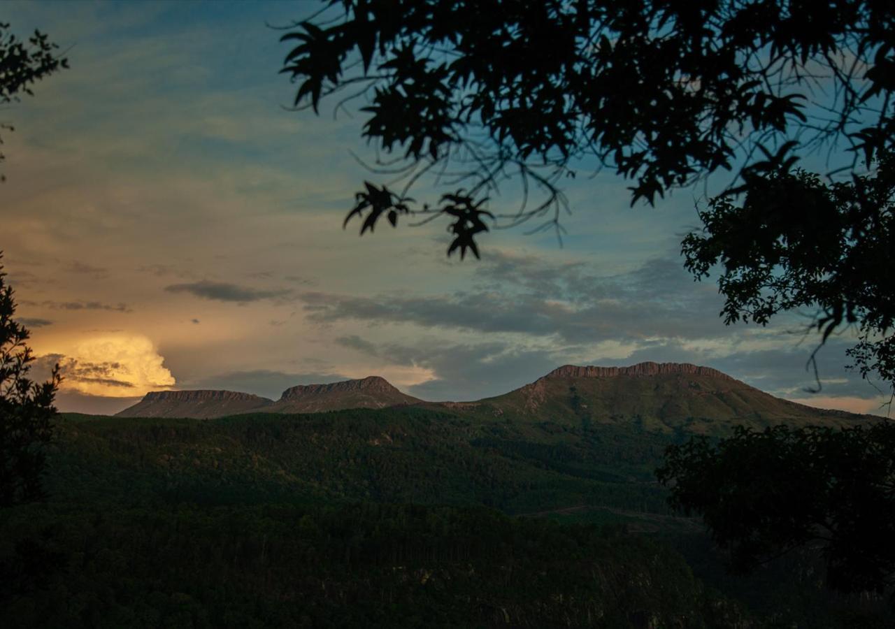 Away With The Fairies Nature Lodge And Backpackers Hogsback Dış mekan fotoğraf